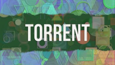 Photo of Best 10 Torrent Sites For 2020 – Download 100% – Today Technology