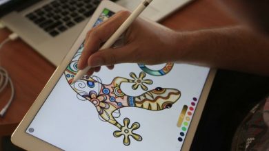 Photo of Best Colouring Apps For Adults For Recreation in 2021