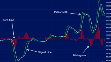 Photo of What are Cryptocurrency Trading Indicators? | Overview and Examples