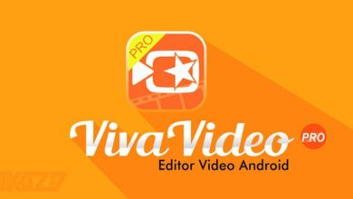 Photo of Viva Video for PC [2021]