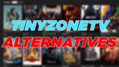 Photo of Tinyzone Review–Find Out If Tinyzone Is The Right Site For You