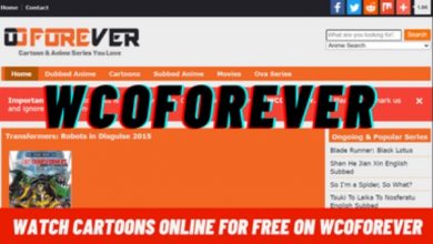 Photo of Best Alternative Wcoforever Sites In 2022